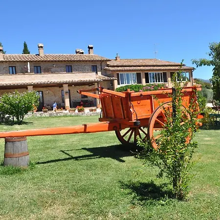 Farm stay Il Carro del Colle-3